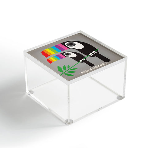 Anderson Design Group Rainbow Toucans Acrylic Box