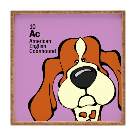 Angry Squirrel Studio American English Coonhound 10 Square Tray