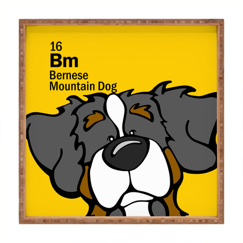 Angry Squirrel Studio Bernese Mtn Dog 16 Square Tray
