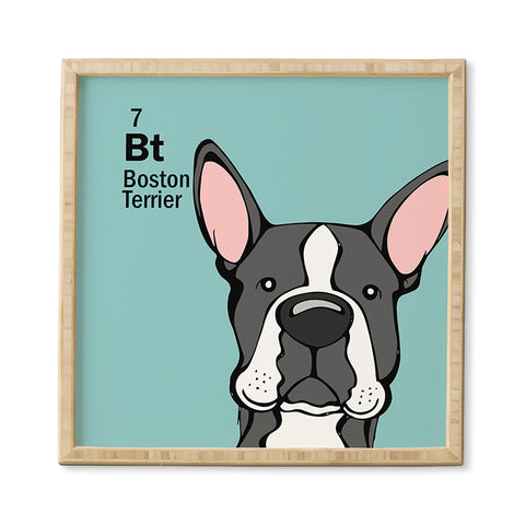 Angry Squirrel Studio Boston Terrier 7 Framed Wall Art
