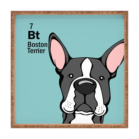 Angry Squirrel Studio Boston Terrier 7 Square Tray