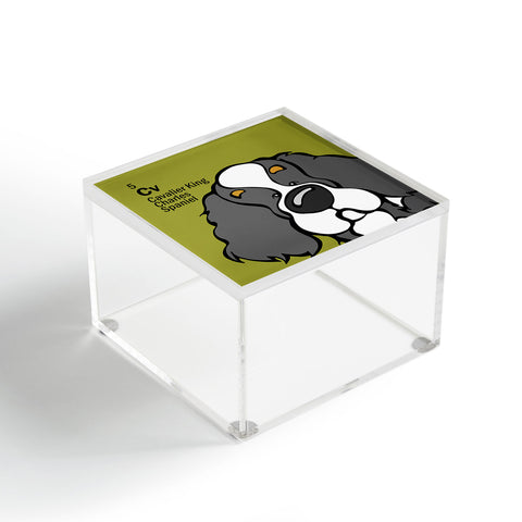Angry Squirrel Studio Cavalier 5 Acrylic Box