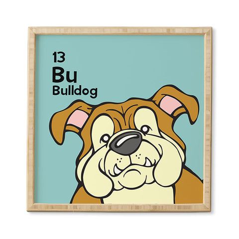 Angry Squirrel Studio English Bulldog 13 Framed Wall Art