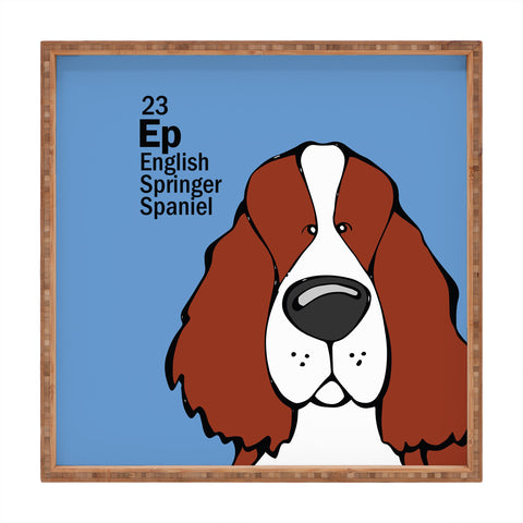Angry Squirrel Studio English Springer Spaniel 23 Square Tray