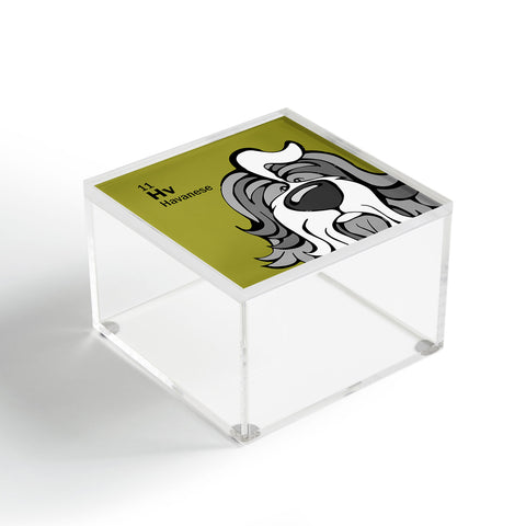 Angry Squirrel Studio Havanese 11 Acrylic Box