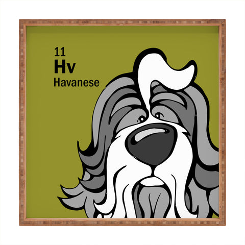 Angry Squirrel Studio Havanese 11 Square Tray