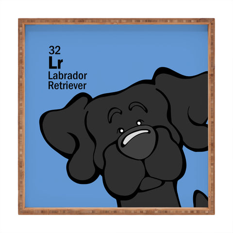 Angry Squirrel Studio Lab 32 Black Lab Square Tray