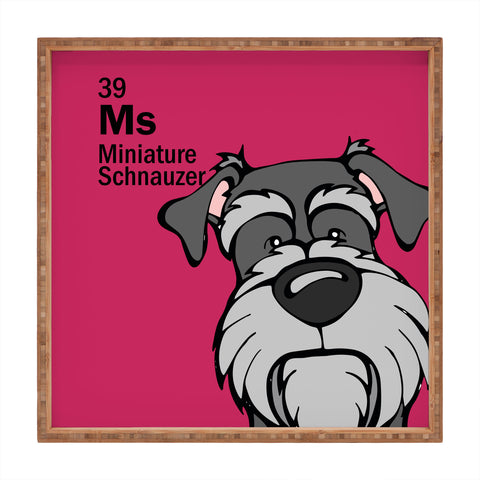 Angry Squirrel Studio Miniature Schnauzer 39 Square Tray