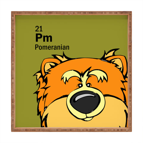 Angry Squirrel Studio Pomeranian 21 Square Tray