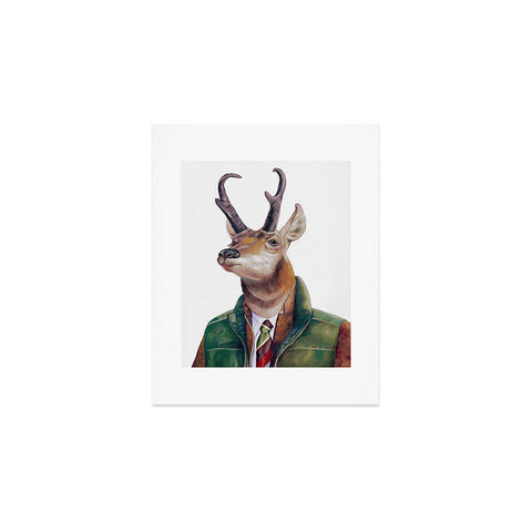 Animal Crew Pronghorn Deer Art Print