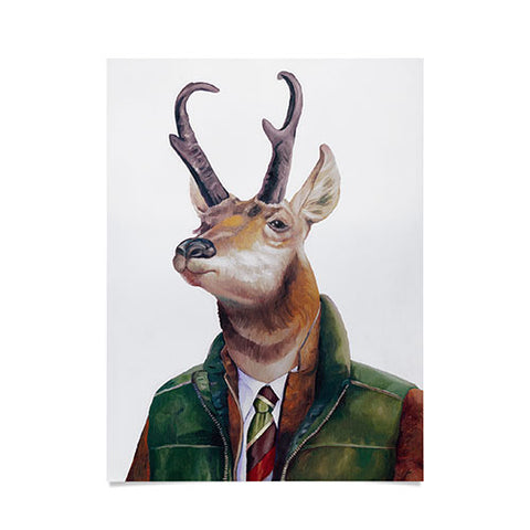 Animal Crew Pronghorn Deer Poster