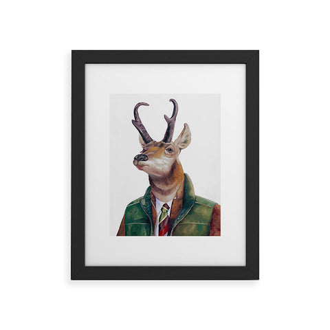 Animal Crew Pronghorn Deer Framed Art Print
