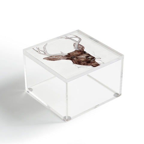 Animal Crew Smoking Buck Acrylic Box