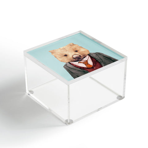 Animal Crew Wombat Acrylic Box