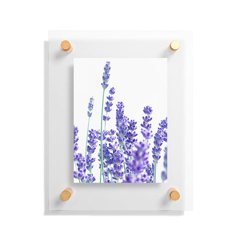 Anita's & Bella's Artwork Fresh Lavender 1 Floating Acrylic Print