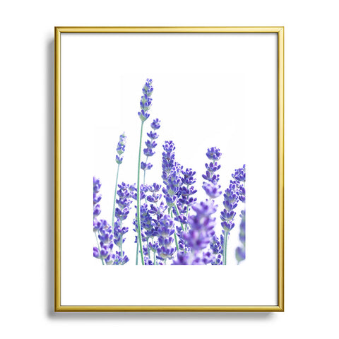 Anita's & Bella's Artwork Fresh Lavender 1 Metal Framed Art Print