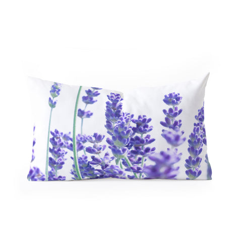 Anita's & Bella's Artwork Fresh Lavender 1 Oblong Throw Pillow