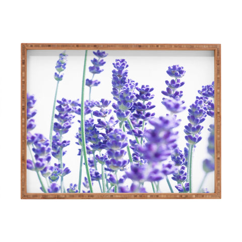 Anita's & Bella's Artwork Fresh Lavender 1 Rectangular Tray