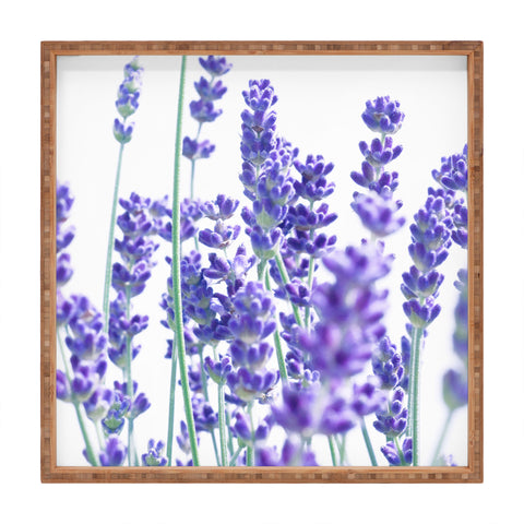 Anita's & Bella's Artwork Fresh Lavender 1 Square Tray