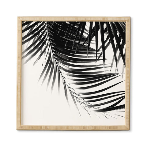 Anita's & Bella's Artwork Palm Leaves BW Vibes 1 Framed Wall Art