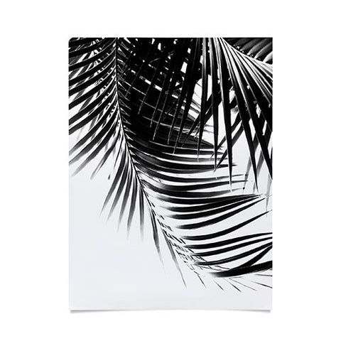 Anita's & Bella's Artwork Palm Leaves BW Vibes 1 Poster