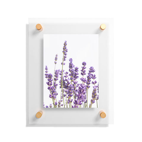 Anita's & Bella's Artwork Purple Lavender 1 Floating Acrylic Print