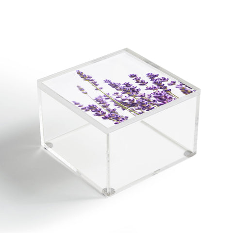 Anita's & Bella's Artwork Purple Lavender 1 Acrylic Box