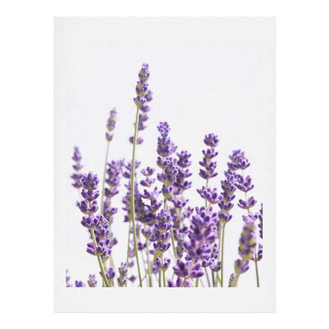 Anita's & Bella's Artwork Purple Lavender 1 Art Print