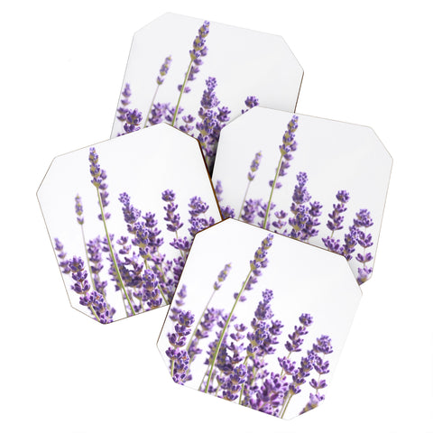Anita's & Bella's Artwork Purple Lavender 1 Coaster Set