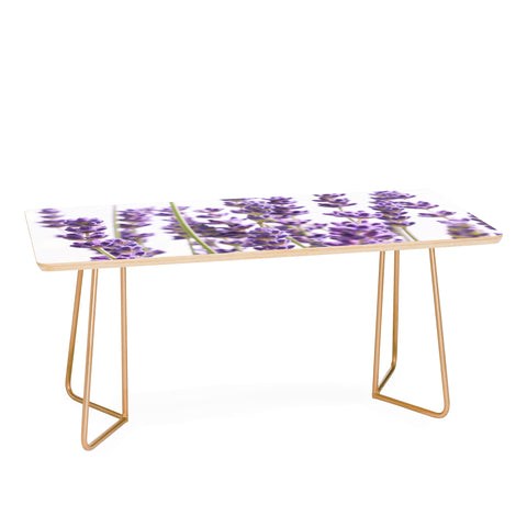 Anita's & Bella's Artwork Purple Lavender 1 Coffee Table