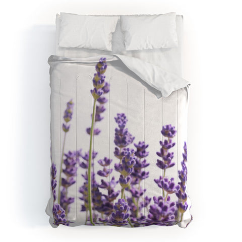 Anita's & Bella's Artwork Purple Lavender 1 Comforter