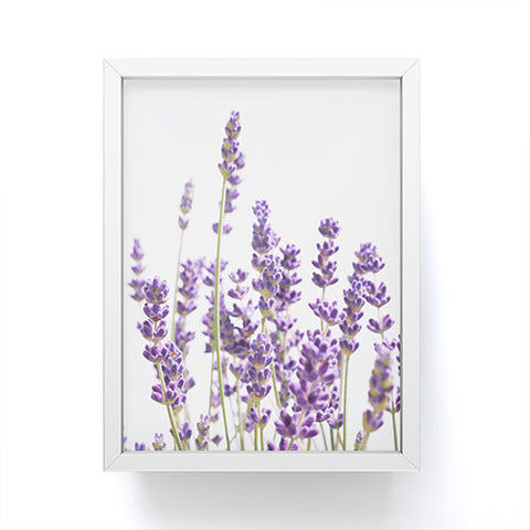 Anita's & Bella's Artwork Purple Lavender 1 Framed Mini Art Print