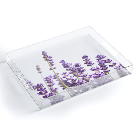 Anita's & Bella's Artwork Purple Lavender 1 Acrylic Tray