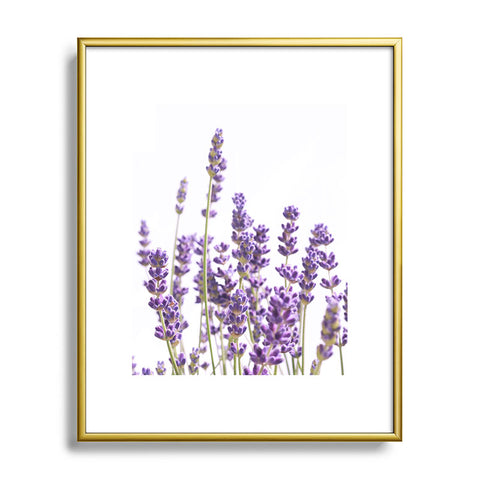 Anita's & Bella's Artwork Purple Lavender 1 Metal Framed Art Print
