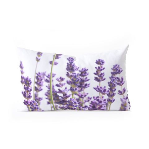 Anita's & Bella's Artwork Purple Lavender 1 Oblong Throw Pillow