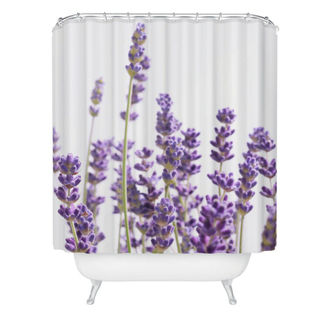 Anita's & Bella's Artwork Purple Lavender 1 Shower Curtain