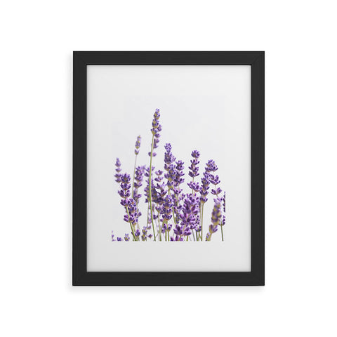 Anita's & Bella's Artwork Purple Lavender 1 Framed Art Print