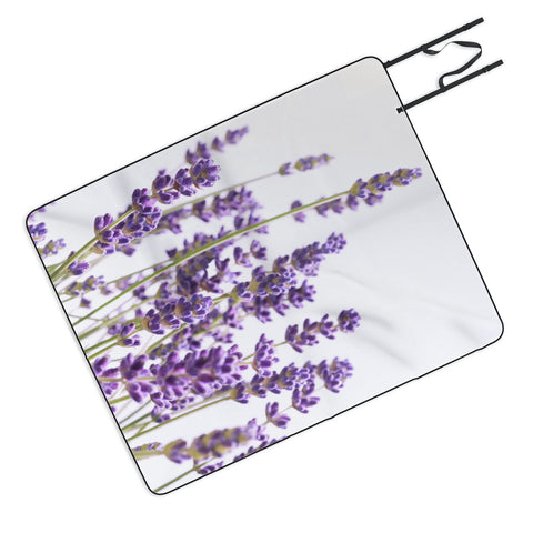 Anita's & Bella's Artwork Purple Lavender 1 Picnic Blanket