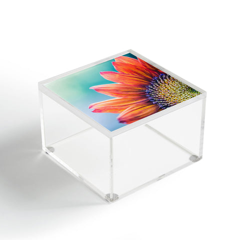 Ann Hudec Beautiful Dreamer Acrylic Box