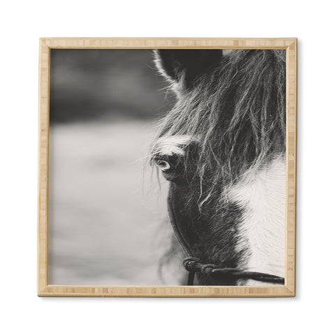 Ann Hudec Blue Eye horse photography Framed Wall Art