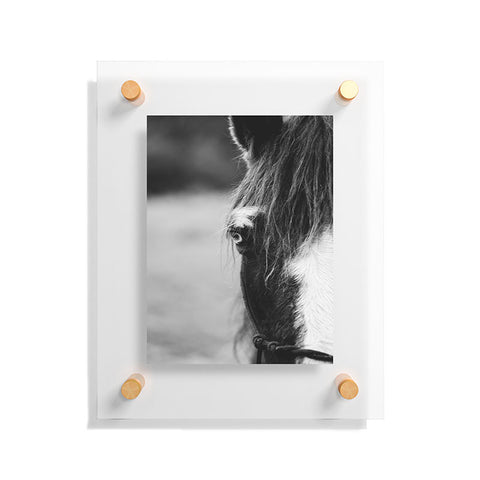 Ann Hudec Blue Eye horse photography Floating Acrylic Print