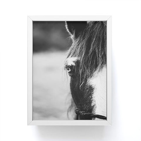 Ann Hudec Blue Eye horse photography Framed Mini Art Print