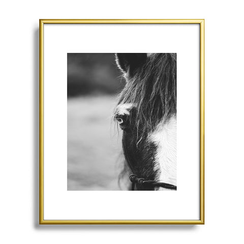 Ann Hudec Blue Eye horse photography Metal Framed Art Print