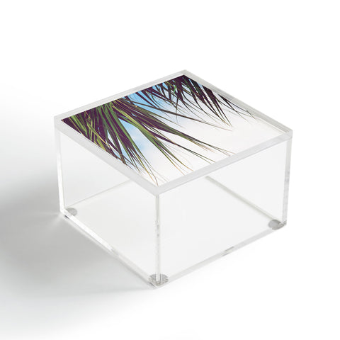 Ann Hudec Cabana Life x Palm Trees Acrylic Box
