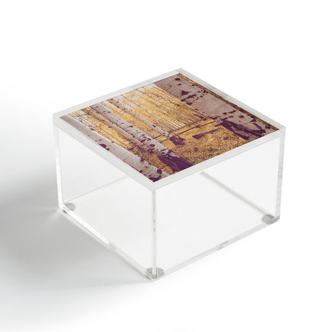 Ann Hudec Colorado Aspens Acrylic Box