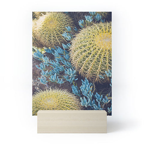 Ann Hudec Desert Cactus Garden Mini Art Print