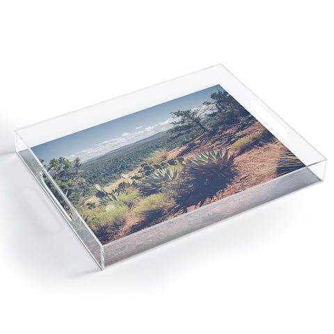 Ann Hudec Desert Wild Acrylic Tray