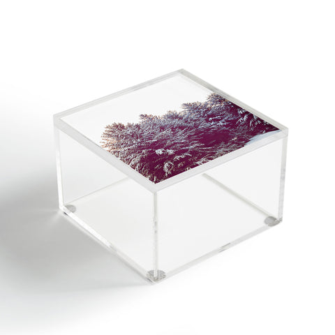 Ann Hudec First Winter Snow Acrylic Box