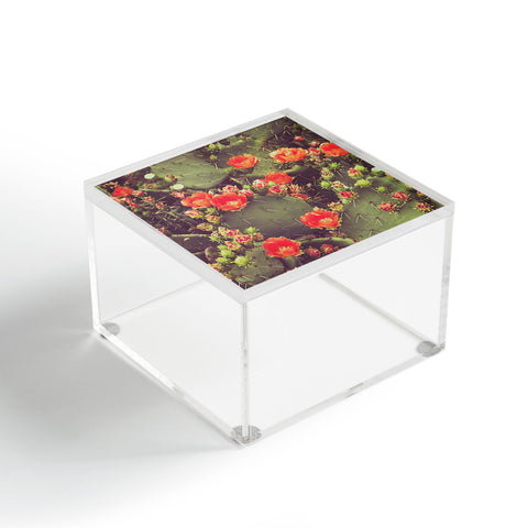Ann Hudec Flamenco Desert Roses Acrylic Box