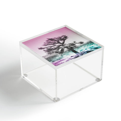 Ann Hudec Joshua Tree Ultraviolet Acrylic Box